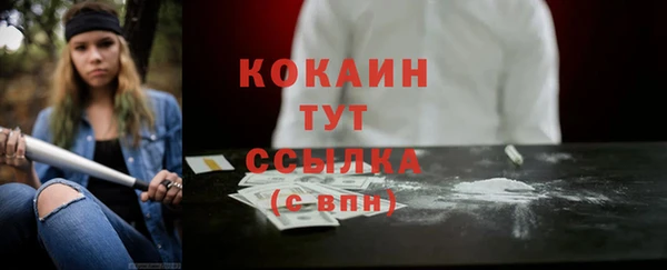 стаф Арсеньев