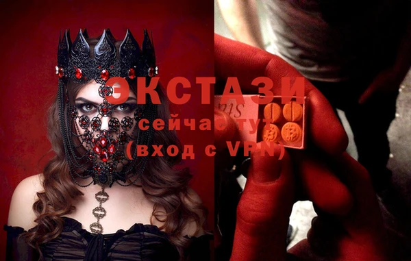 стаф Арсеньев