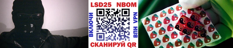 где можно купить   Тында  блэк спрут tor  Марки N-bome 1,8мг 