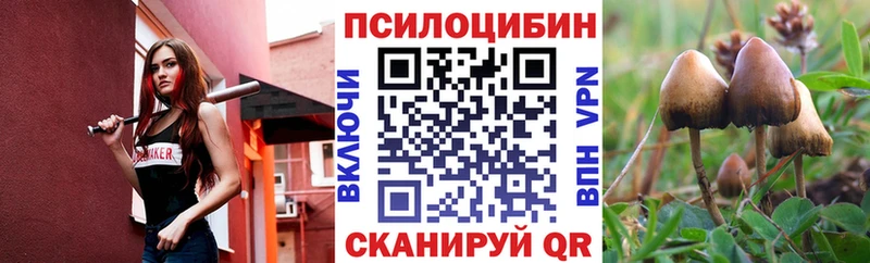 Галлюциногенные грибы Psilocybine cubensis  Тында 
